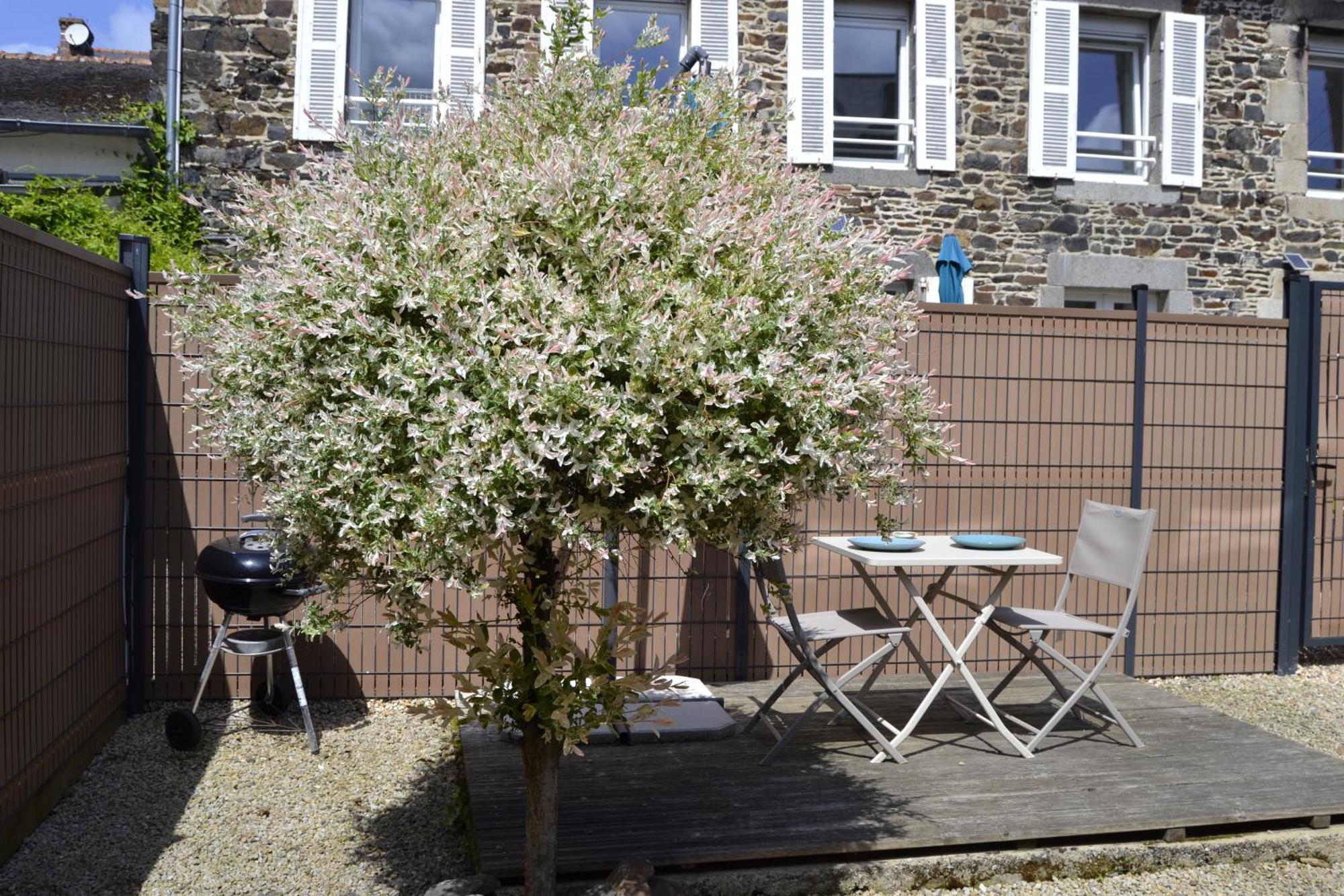 Charmante Petite Maison Proche Du Port, Maison 7 Binic Extérieur photo